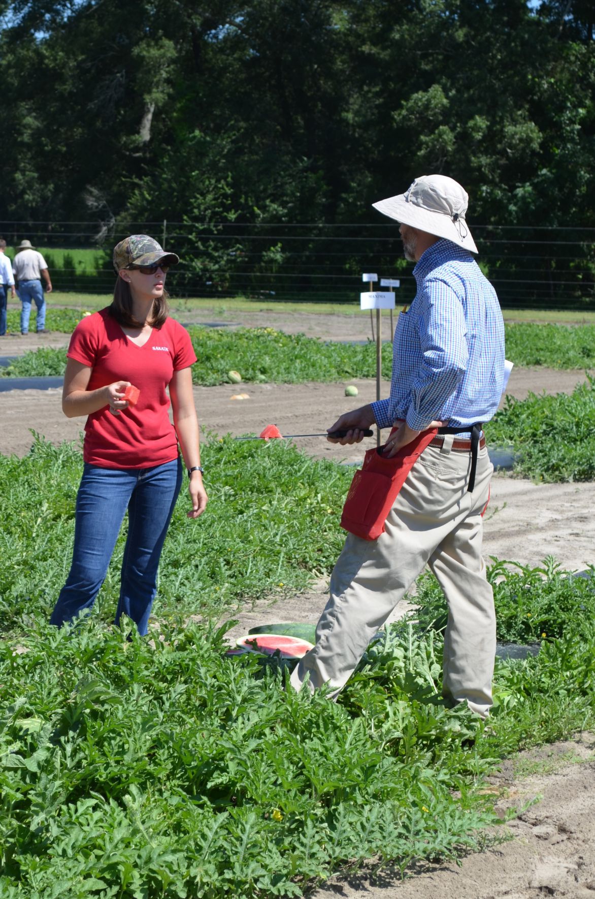 Watermelon Field Day